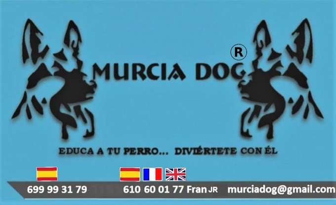 ASOCIACION CANINA MURCIA DOG. 
Web: www.murciadog.es
Tfs: 699 993 179/610 600 177. 
Mail: murciadog@gmail.com. 
Ubicación LA ALBERCA (MURCIA).
