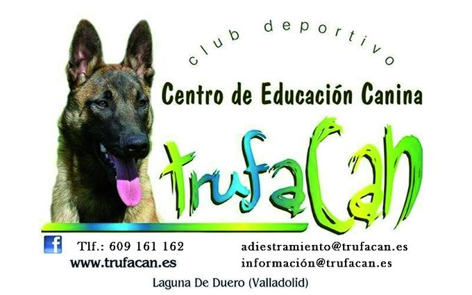 CLUB DEPORTIVO. CENTRO DE EDUCACION CANINA TRUFACAN. web: www.trufacan.es
